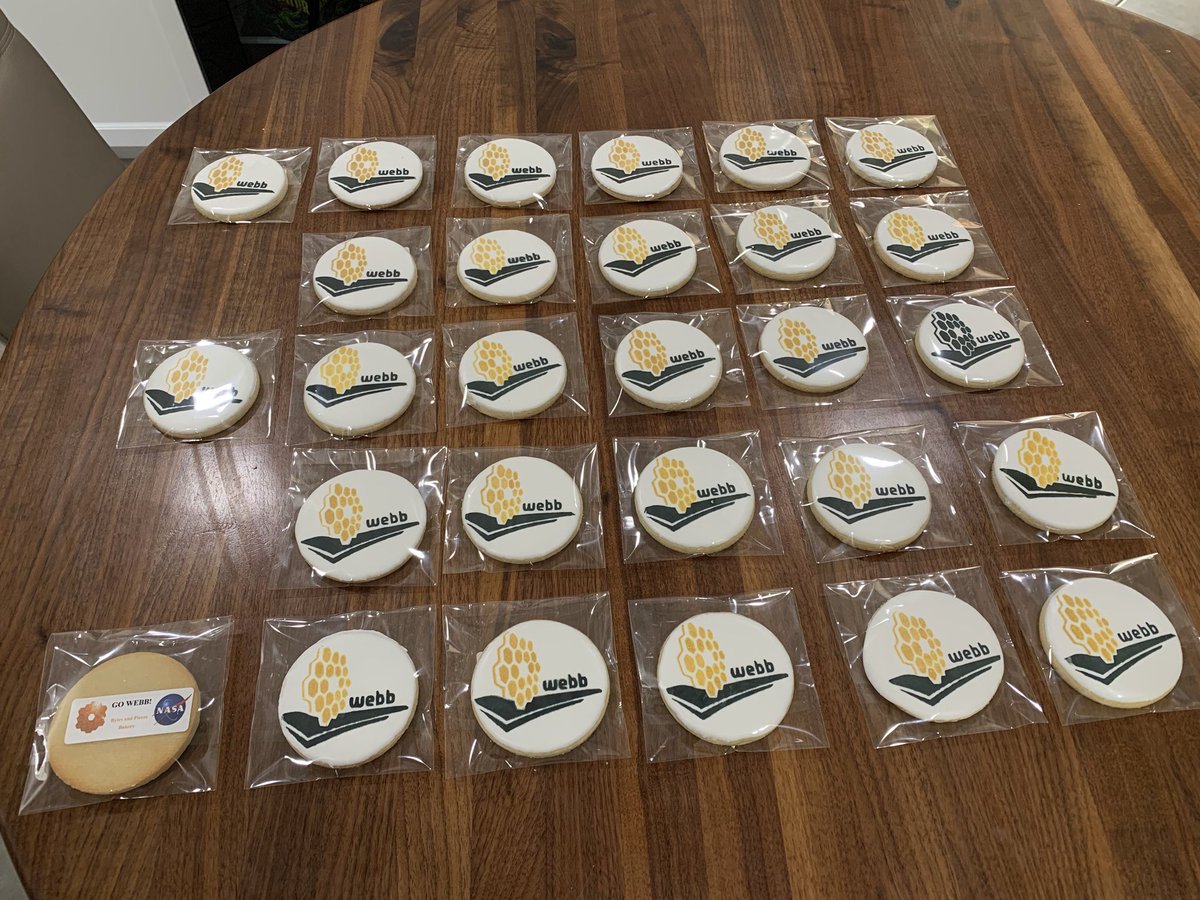 sgz102's tweet photo. ”Hey sky, take off your hat, [we’re] on our way!” –Valentina Tereshkova. #jwst #webb #sugarcookies #royalicng #nasa #stsci #astronomy https://t.co/bJJG78HMTe