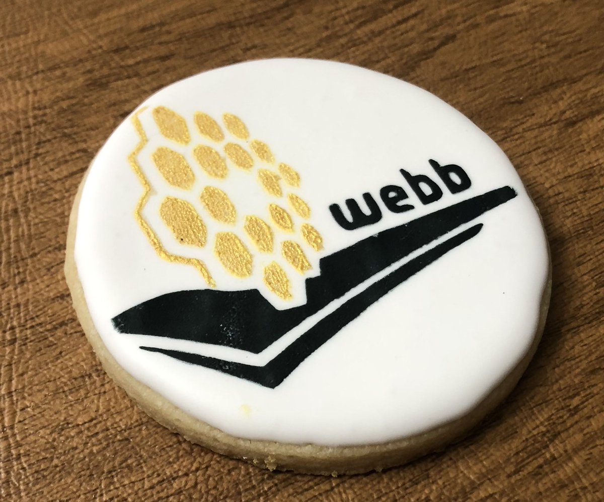 sgz102's tweet photo. ”Hey sky, take off your hat, [we’re] on our way!” –Valentina Tereshkova. #jwst #webb #sugarcookies #royalicng #nasa #stsci #astronomy https://t.co/bJJG78HMTe