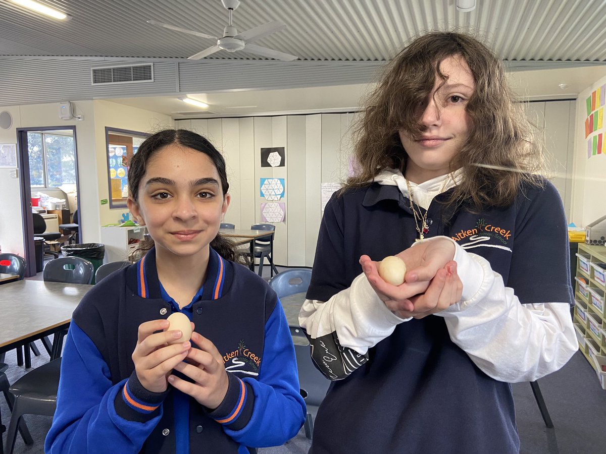 MsOfficerACPS's tweet photo. First eggs from the schools chickens! @AitkenCreekPS https://t.co/iglFmkw6xO