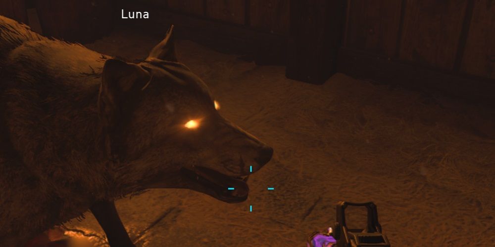 BiggestMike16's tweet photo. Bring my girl Luna back please! @Treyarch blood wolf bite! #BringLunaBack https://t.co/E5DYD0xxyv