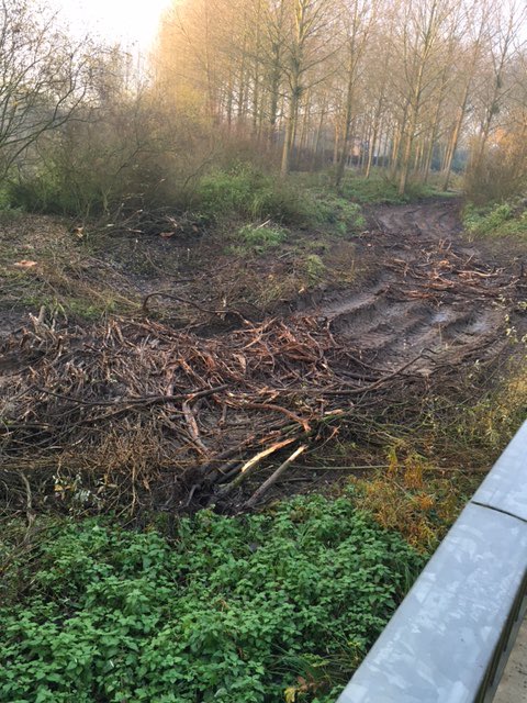 ecvass02's tweet photo. Après l’inauguration du pont @J_Denormandie En juillet 2021.
Vision enfin du bras mort en novembre 2021. 
Les arbustes laissés sur place dans la pure tradition écologique de la décomposition naturelle et des réglementations successives. 
@Prefet02 https://t.co/OvcdDlnJio