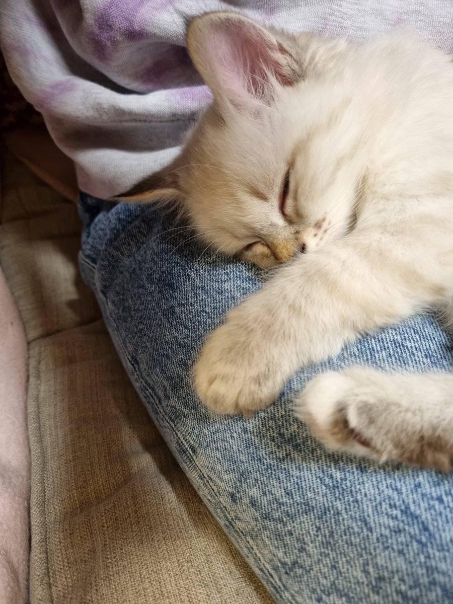 ⸺𝐒𝐢𝐠𝐲𝐧 ও (@goddessoflove_s) on Twitter photo 