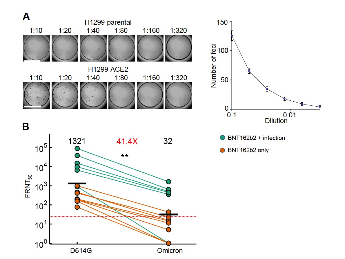 Muge Cevik On Twitter sigallab Colleagues Tested Plasma From 