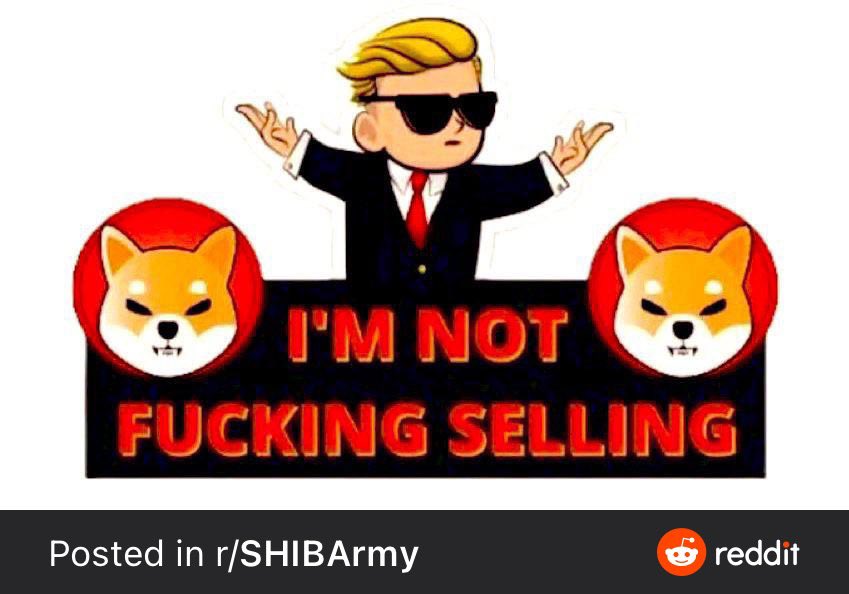 ShakiraShiba's tweet photo. #shib #SHIBARMY $shib $shiba https://t.co/HNyExJji87