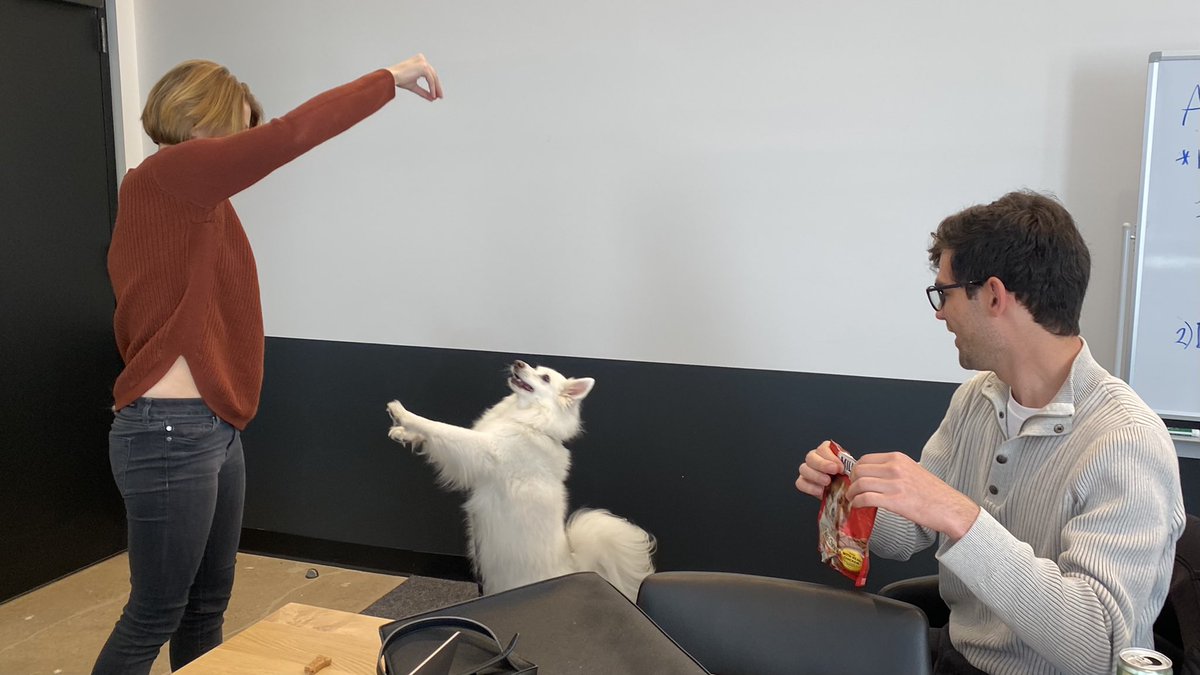 Liz Durst tweet media