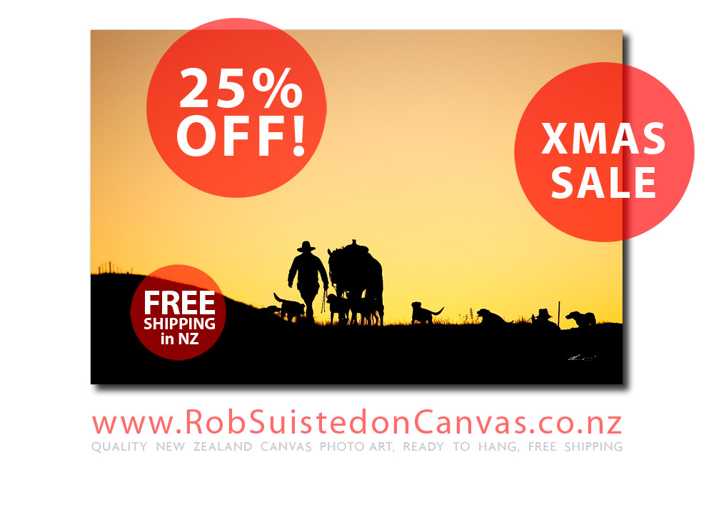Prints_of_NZ's tweet photo. Flash Xmas sale, 25% OFF all quality prints. Free shipping, ready to hang. Ends midnight 12th Dec for Xmas delivery. Pass it on: https://t.co/EjMXNJul8v https://t.co/HKMCeo6r1N