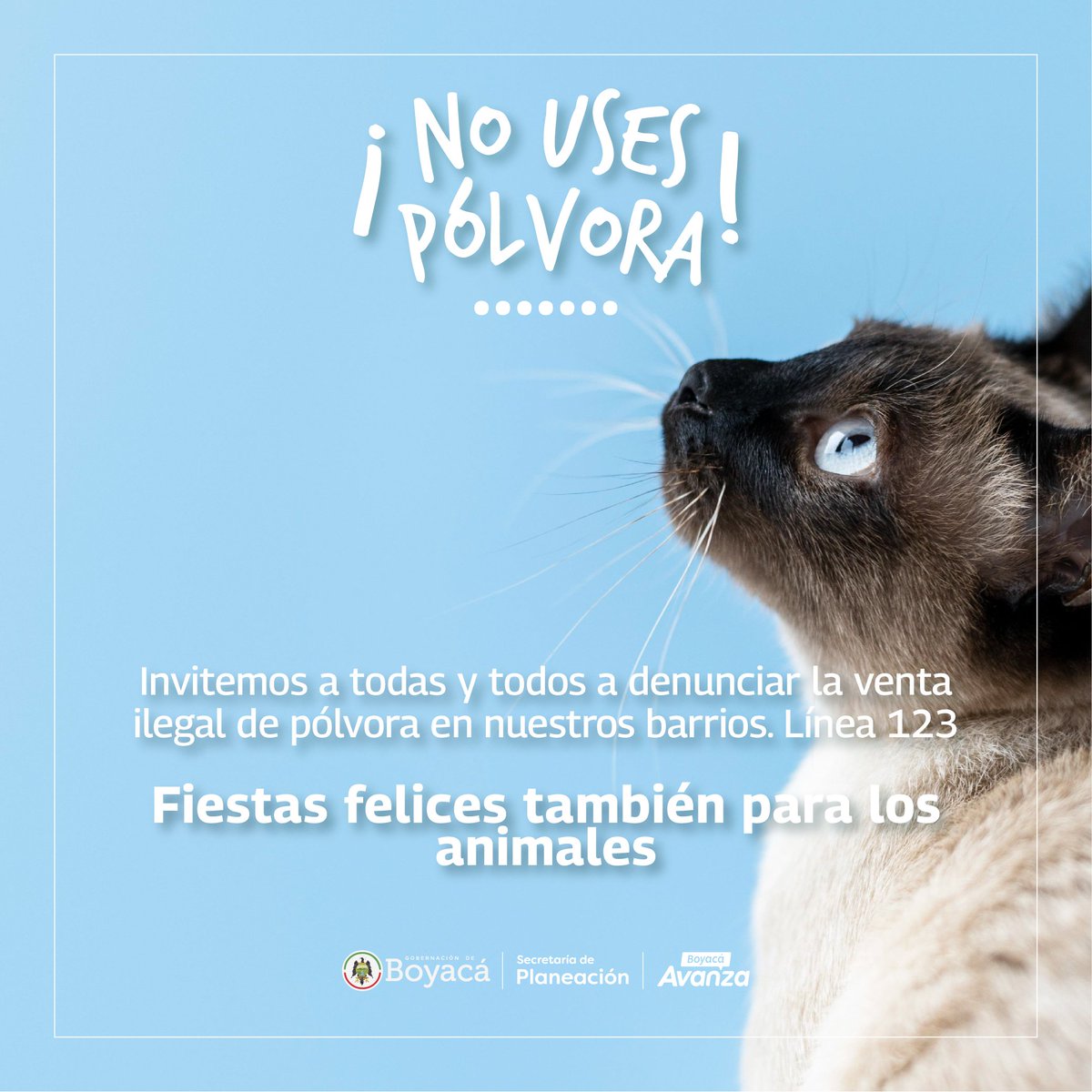 Secretaría de Planeación de Boyacá tweet media