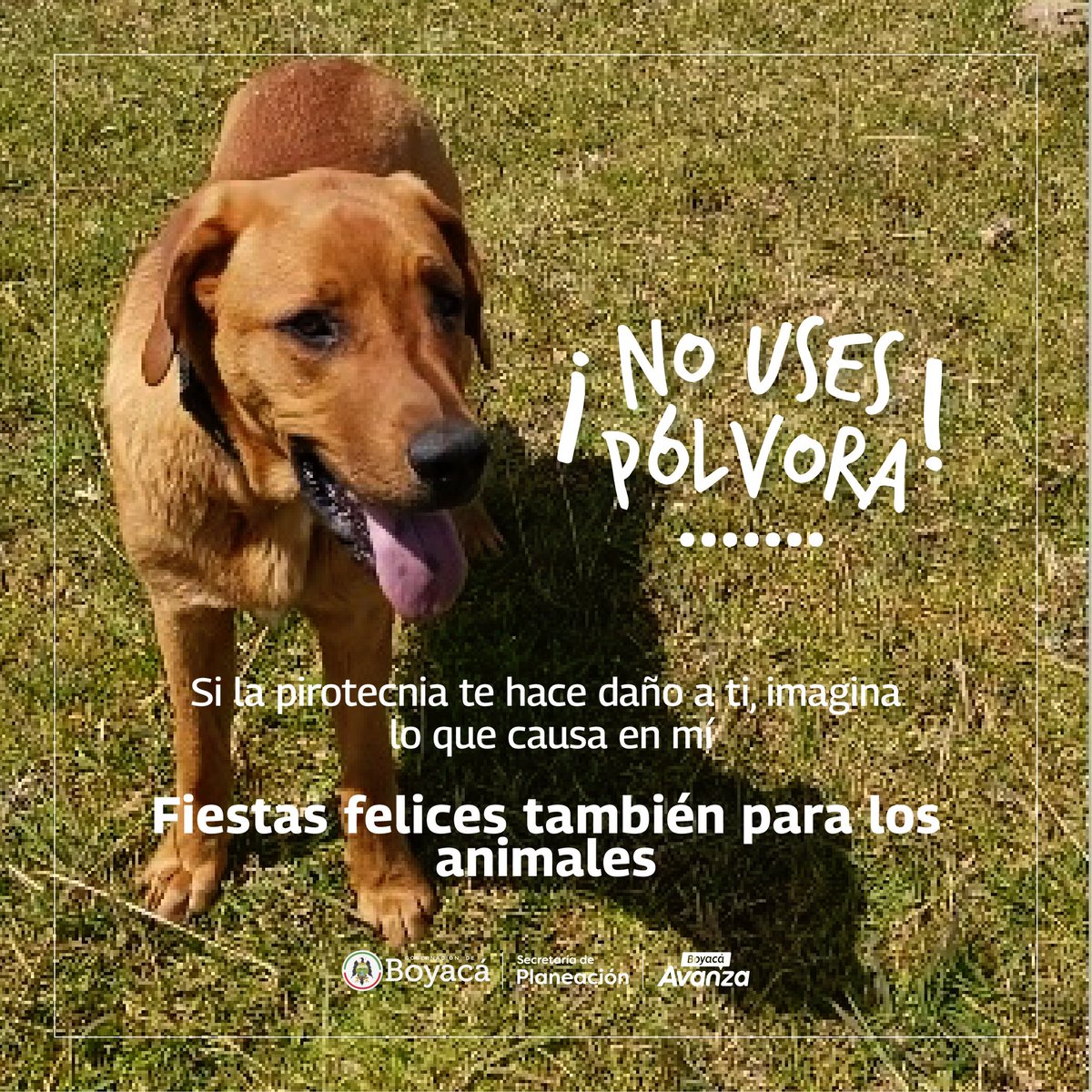Secretaría de Planeación de Boyacá tweet media