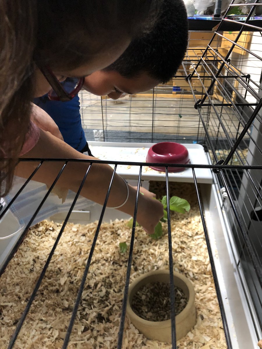 JowellScience tweet media