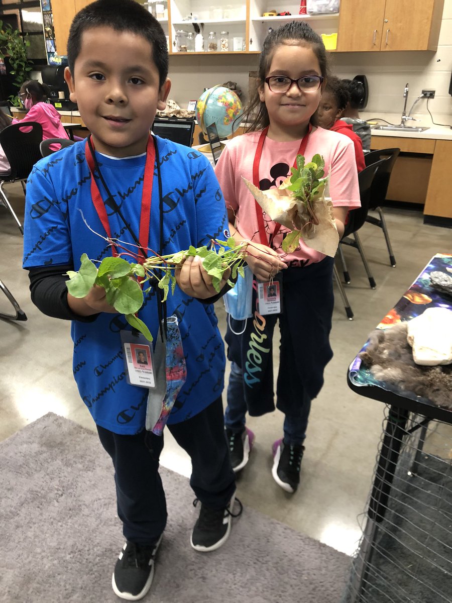 JowellScience tweet media