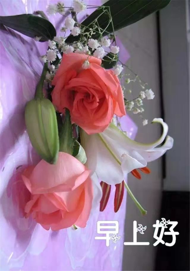 lsl3509's tweet photo. 人生有缘不容易，感恩相遇是福气。心若相知更珍惜，长念友谊不放弃。早上好️！ https://t.co/I7zJzitU98