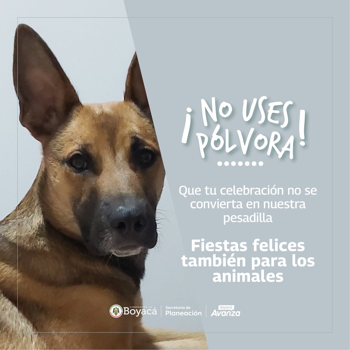 Secretaría de Planeación de Boyacá tweet media