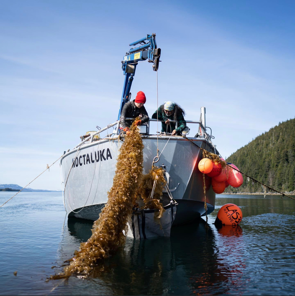 Regeneration is a matter of survival for Native Peoples. It is a cornerstone for building a just, equitable and transformative economy.

<a href="/Dune_Lankard/">Dune Lankard</a> will highlight the role Alaskan Natives are playing in the #BlueEconomy at SVC San Diego on 9 Dec: svcimpact.org/conference