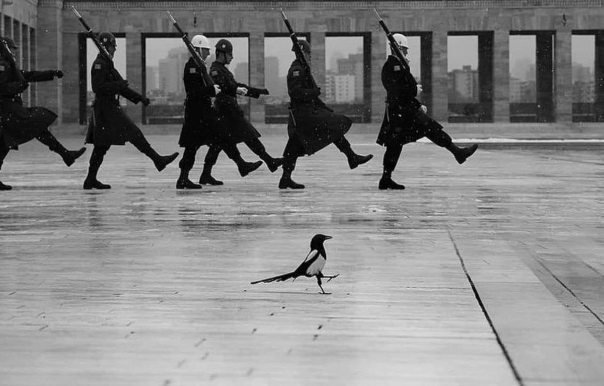 ebeldent's tweet photo. Fatih Çindemir, photographe turc
https://t.co/FAcOS9ExQS https://t.co/Q70miZc574