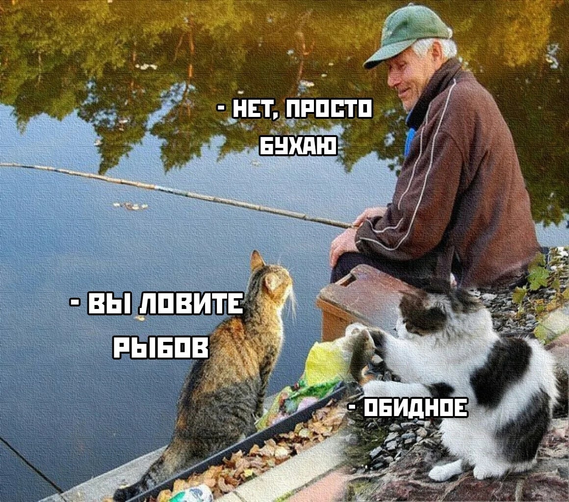 Ничего не ловит. Кот Рыбак. Коты на рыбалке. Кот ловит рыбу. Приколы на рыбалке.