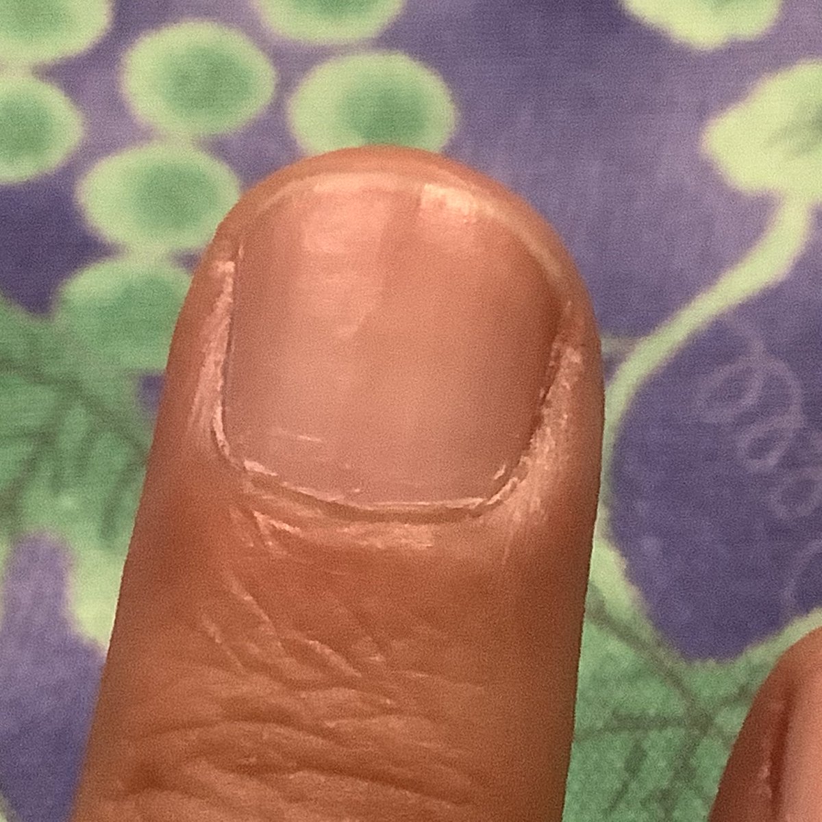 KTM819O4's tweet photo. #HANDVEIL #RichNail #爪補強コート #ツヤなしタイプ 
付けている感じはあります
完全なツヤなしではありませんが
ピカピカではないのでオッケー🙆‍♂️ https://t.co/HWDsNWVG7w