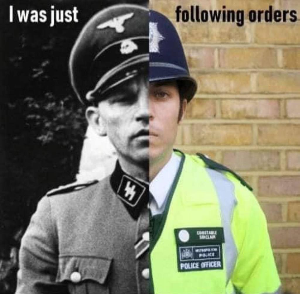Follow my order