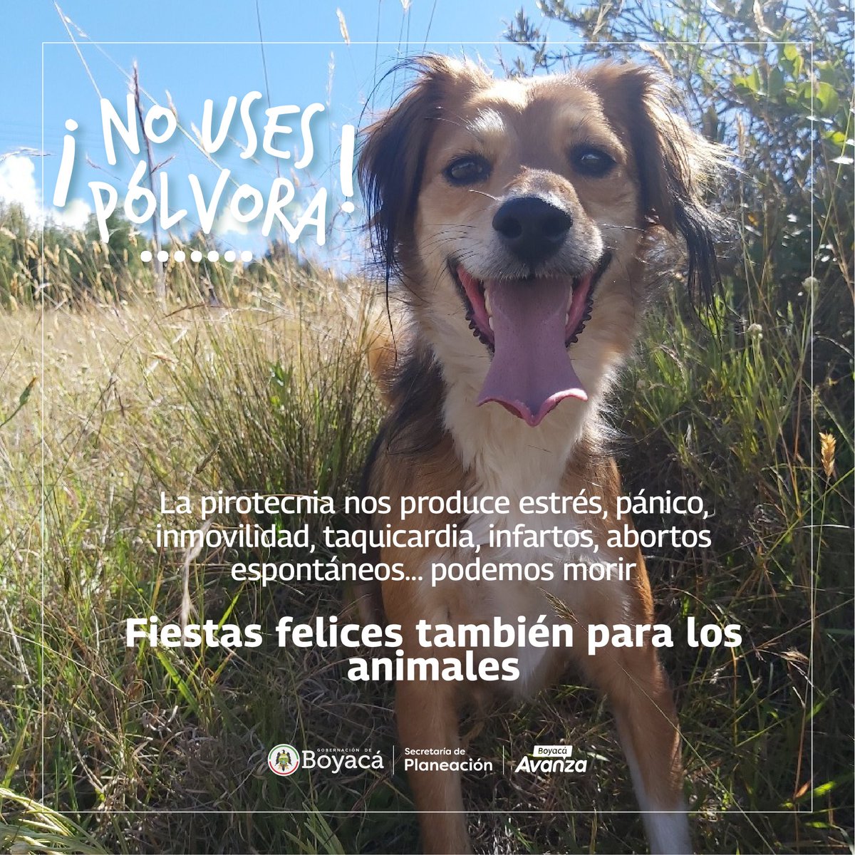 Secretaría de Planeación de Boyacá tweet media