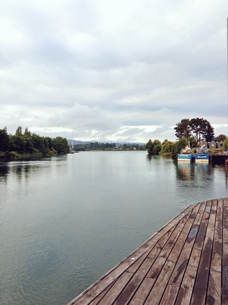 royfishes's tweet photo. Si, Valdivia es bellísimo 💓 https://t.co/DOaceeynAv