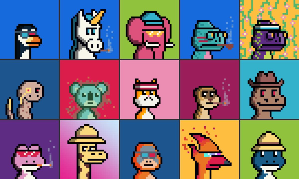CryptoCowb0i's tweet photo. I went a little degenerate with @TheJungleNFT_ but the community is sooo good! Hop in their discord and find out https://t.co/qwVoS7vOeZ