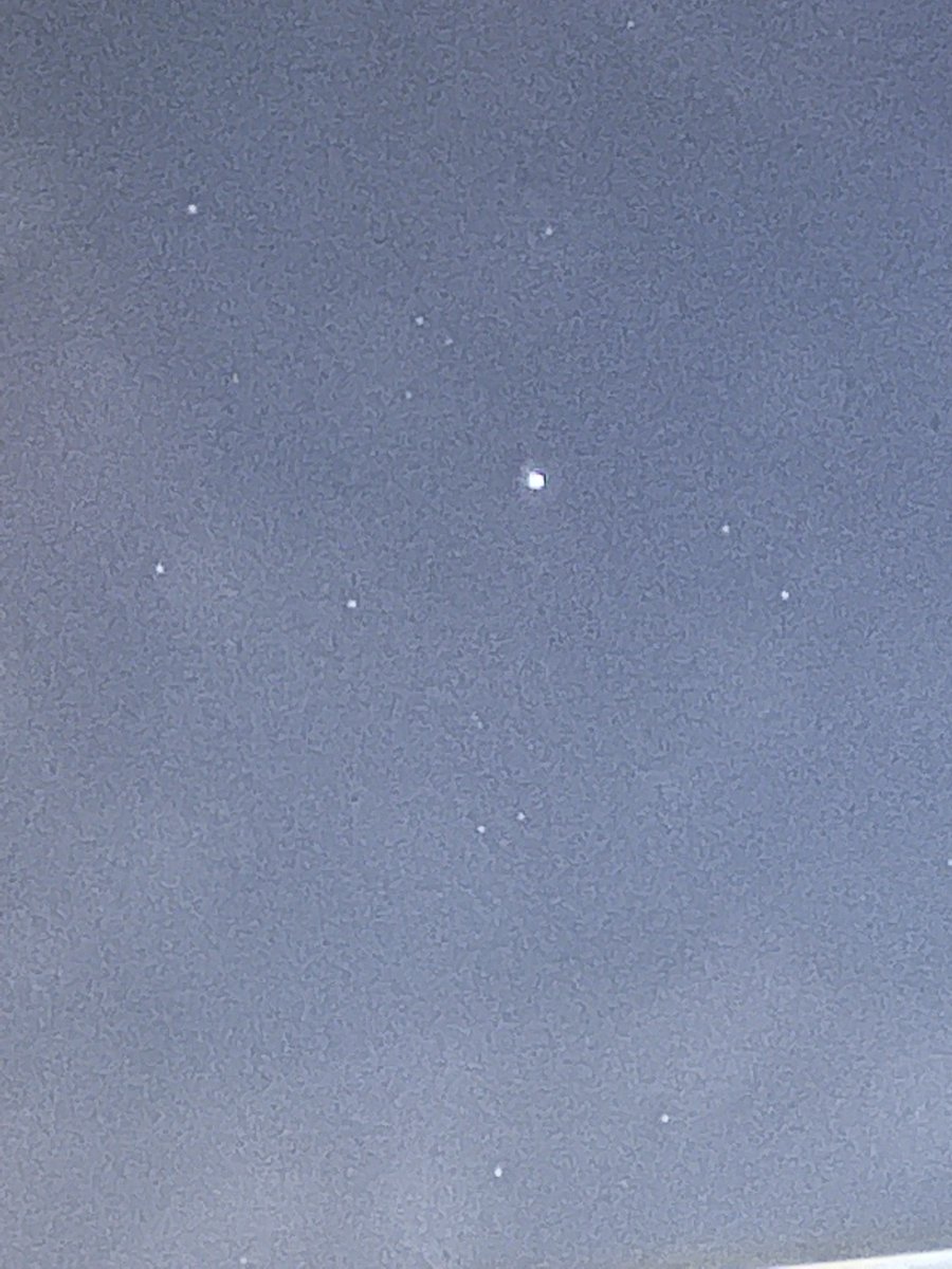 Hamchingo tweet media