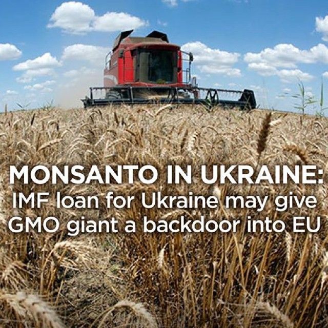 Toxic Effects of #Glyphosate: Kills beneficial gut bacteria &amp; allows pathogens to overgrow. Chelates iron, cobalt, zinc, manganese &amp; interferes with synthesis of aromatic amino acids &amp; methionine. Leads to depletion of glutathione, critical neurotransmitters &amp; folate.