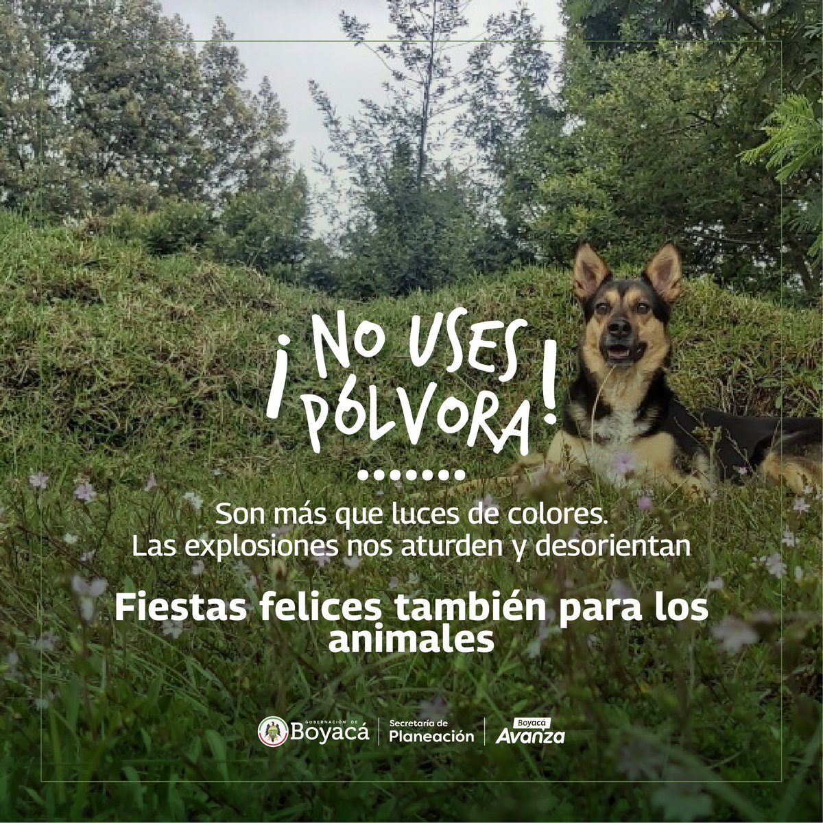 1A Noticias. tweet media