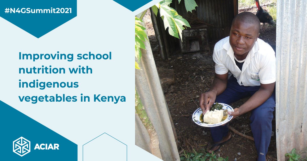 🥬 An ACIAR-supported pilot project led by <a href="/BiovIntCIAT_eng/">Alliance of Bioversity International and CIAT</a> is helping to improve #nutrition by including African leafy vegetables in Kenyan 🇰🇪 school meals. 

Learn more at bit.ly/3Ez7ZvW

#N4GSummit2021 <a href="/nutritionwin/">Nutrition for Growth</a>