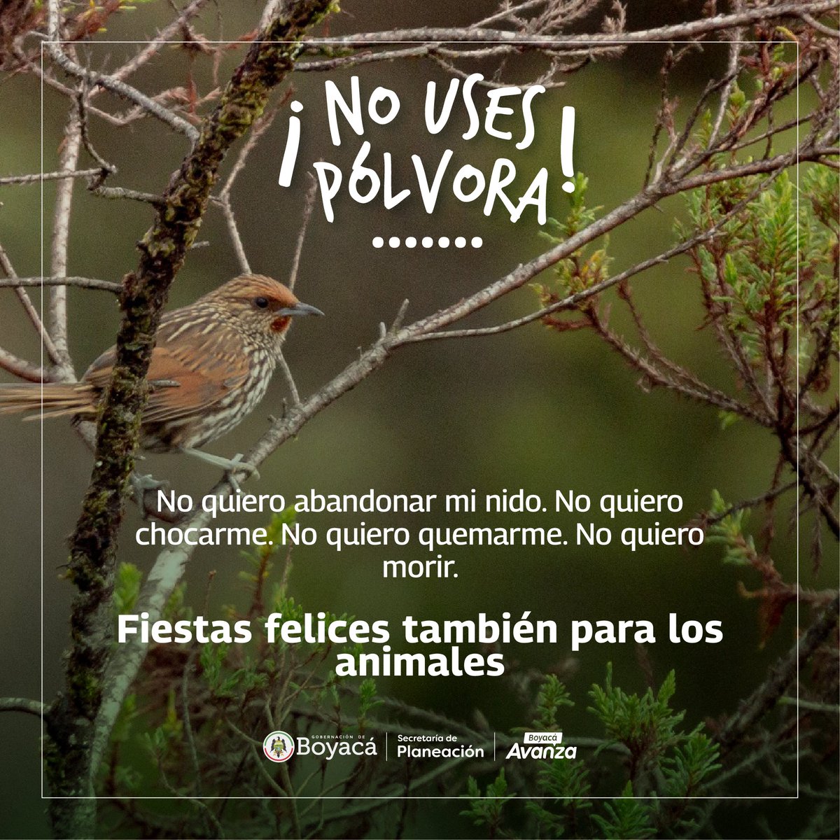 Secretaría de Planeación de Boyacá tweet media