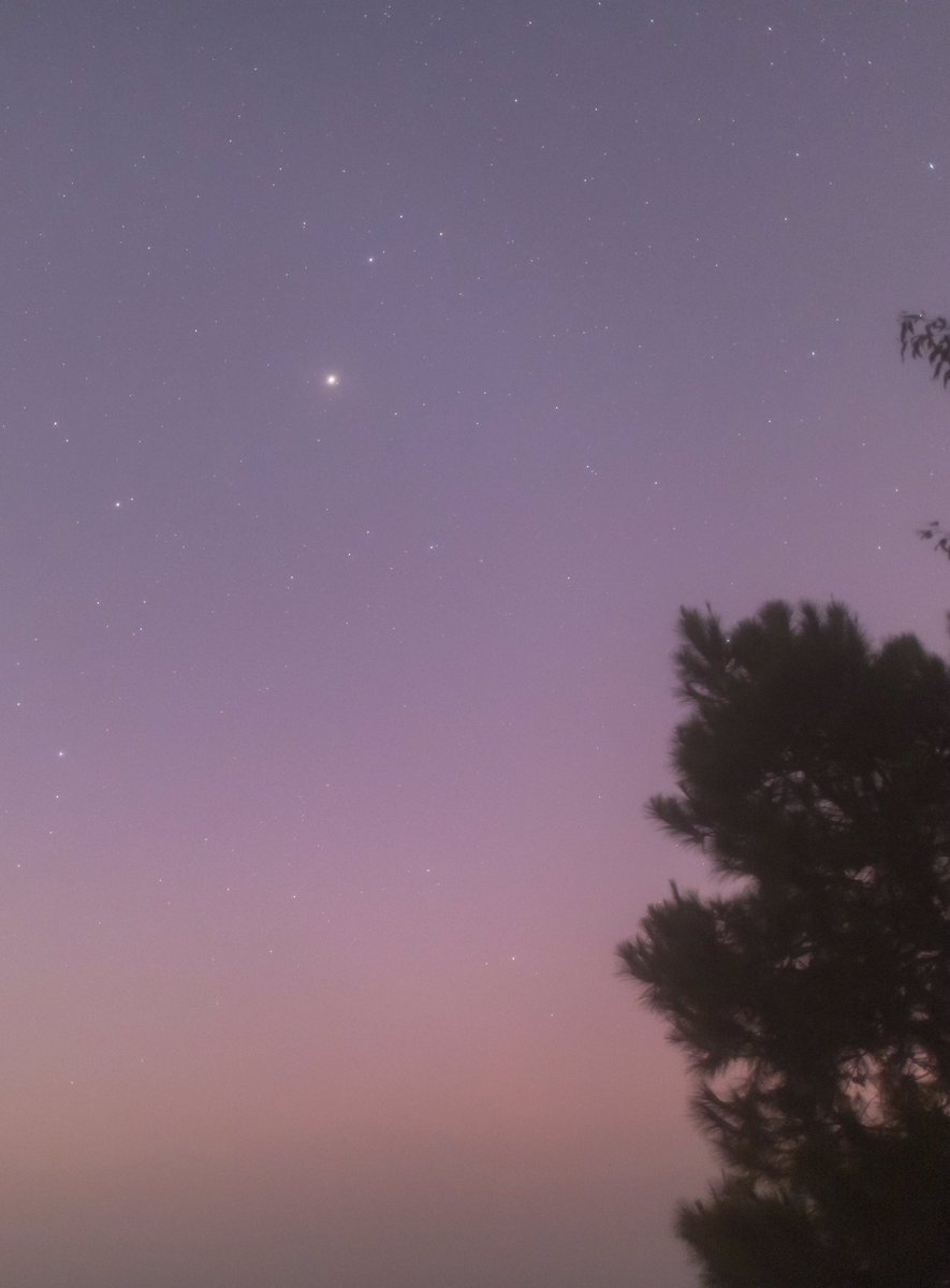 Got up around 4am and drove a motorcycle to the hill to chase Comet Leonard, and I made it for the first time! Though just a tiny blurry dot by 24mm lens 6 seconds single shot, I was very excited to see it with lovely lighter shape of green through my binoculars! #CometLeonard