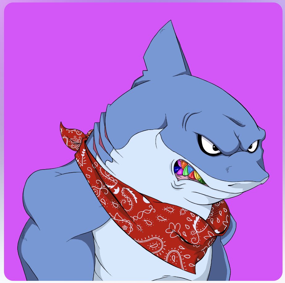 TenToes44's tweet photo. @markingramII Deff have to check out @MetaSharksNFT 🔥🔥 https://t.co/Xn9VifRRGD