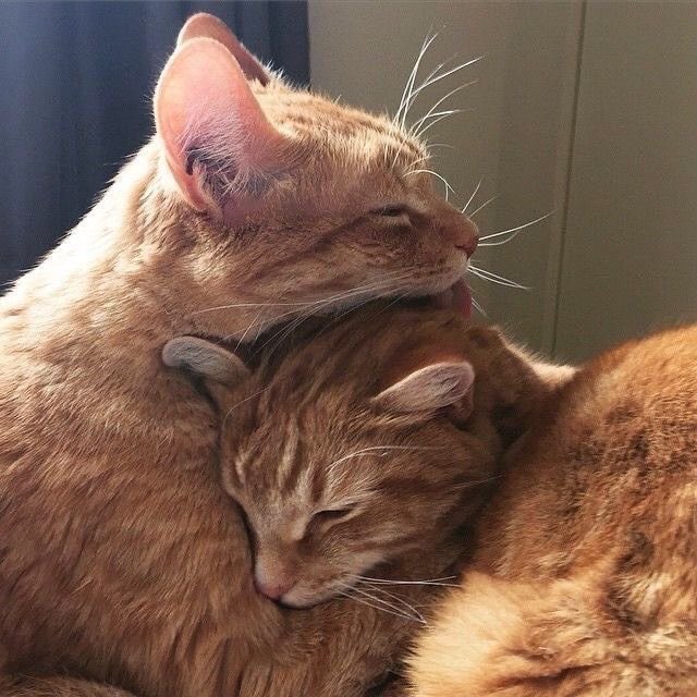 ؘ (@theloveplace) on Twitter photo 