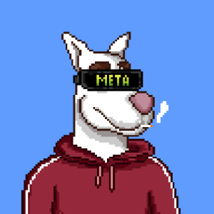 MetaPetz NFT tweet media