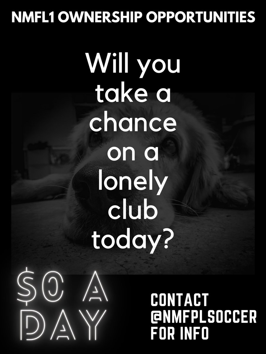 NMFFLsoccer's tweet image. *Special PSA*
(Sad Sarah McLachlan song plays)
@TheBranchSG @lansingcommonfc 
Would you like to own a soccer club? For as little as $0 a day, you can own a Northern Michigan team. Lonely teams like: Gladstone Glory, AS Cadillac,Gaylord 45ers and Ishpeming Athletic are standing by