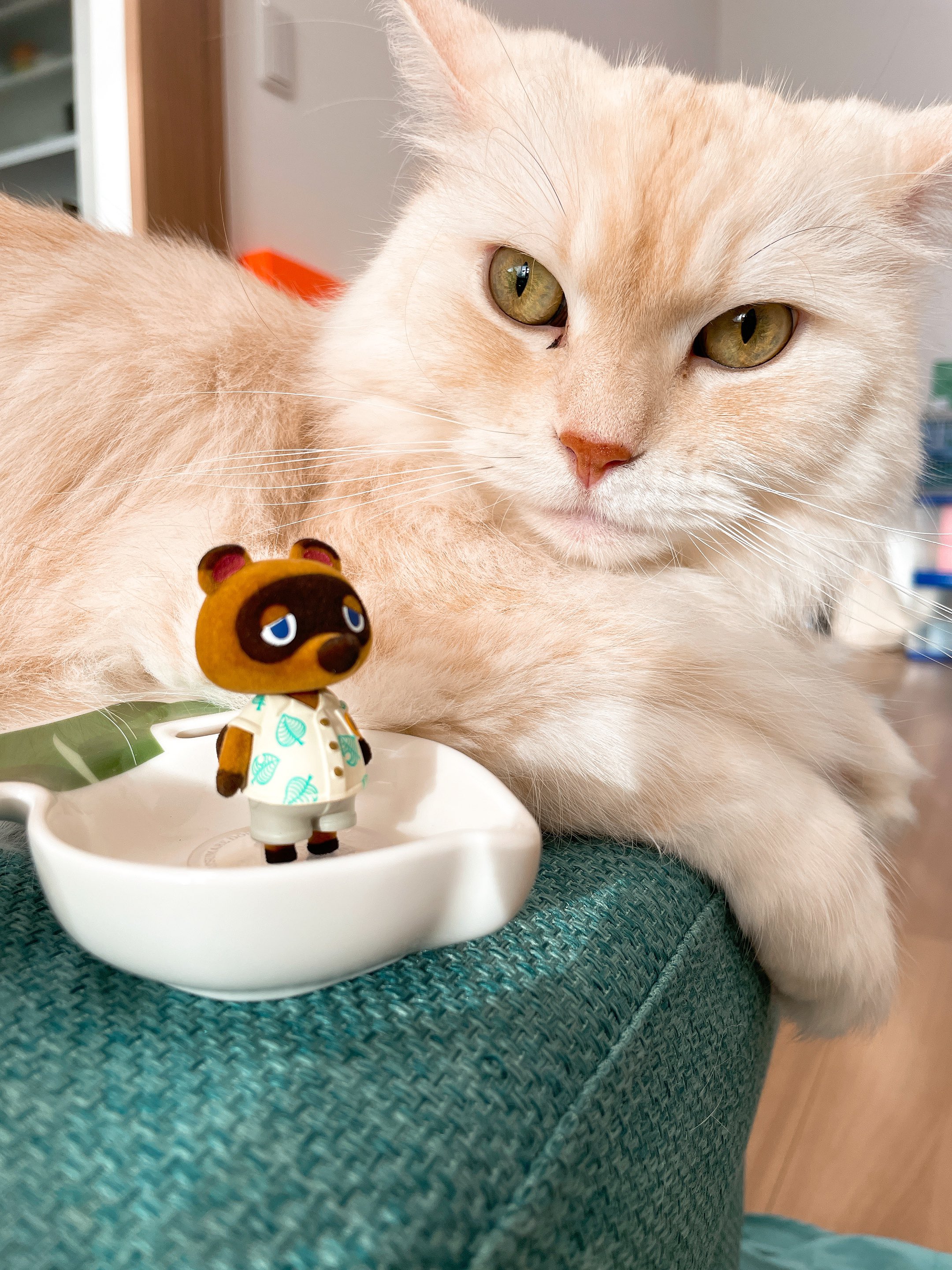 X-এ ムサヲ🐈‍⬛🐈: 