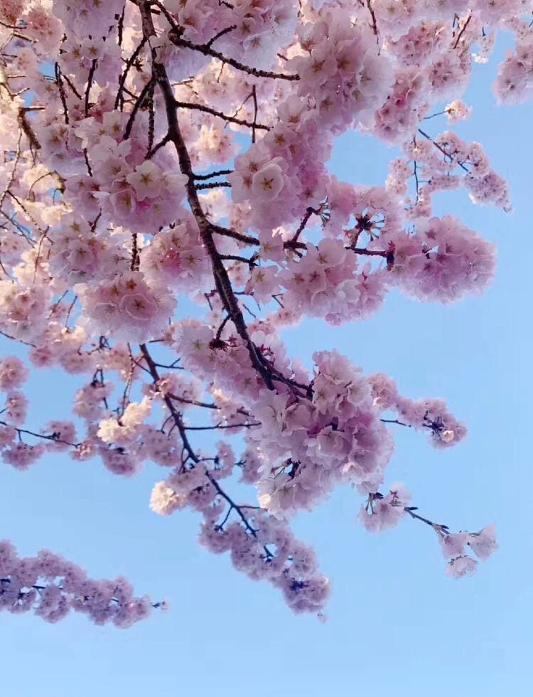 yuhuiwang5's tweet photo. Each country has its own unique charm. The freedom and equality of the United States is really not just a talk. The longer the time, the better the United States will be discovered. https://t.co/6QmtFc5zCA
