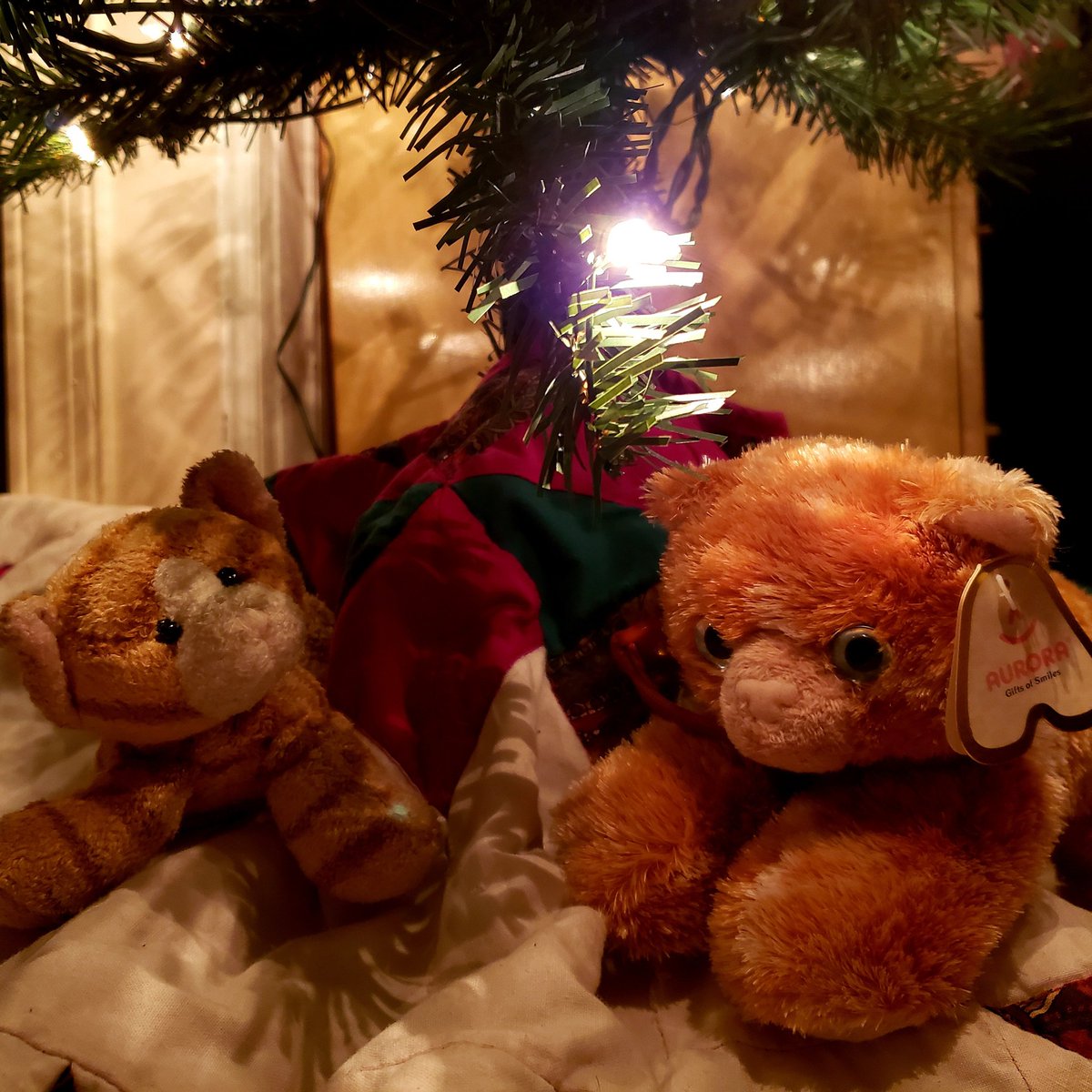brainwise's tweet photo. It's not quite the same, but we do have cats under ye ol' Yule tree. #cats #Yule #tree #Holidays #decoration #GoodbyeOtis #GoodbyeMilo https://t.co/MWxucqr8Ui
