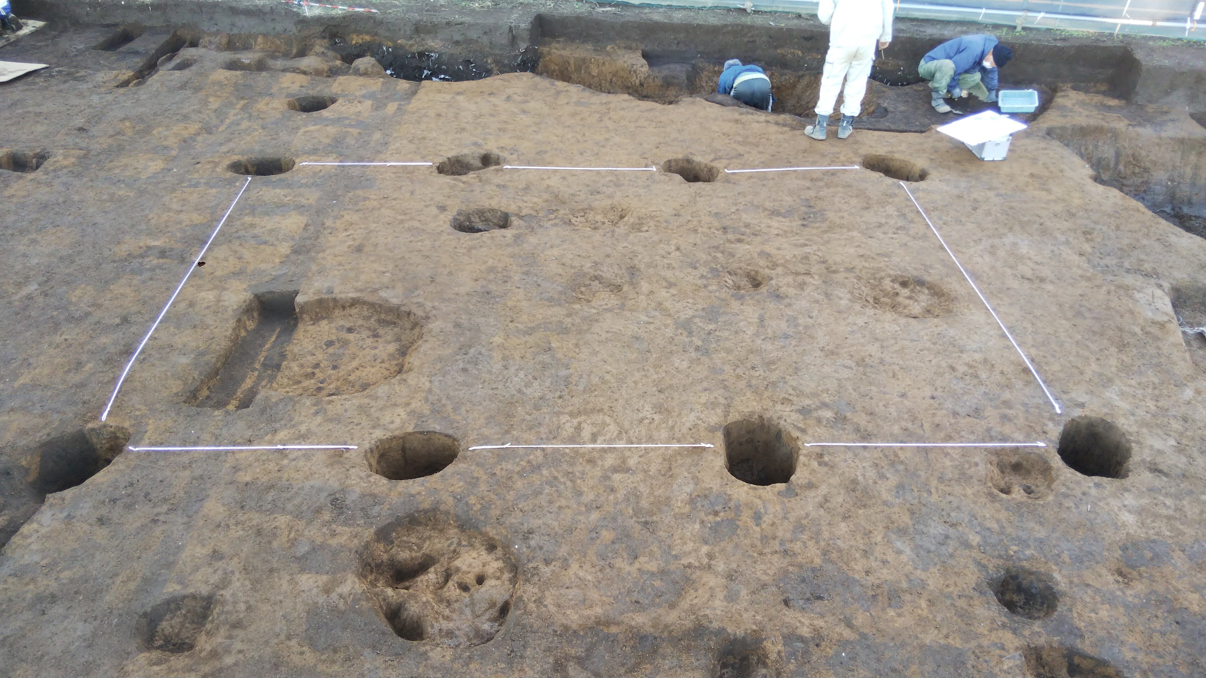 志木市の文化財 公式 発掘速報 Ni235 2 西原大塚遺跡第235地点から速報です ピット 柱穴 を精査したところ ８本が四角く並び 掘立柱建物と判明しました しかも掘立柱建物のピット内から瀬戸美濃の天目茶碗 香炉 唐津焼の碗が出土しました