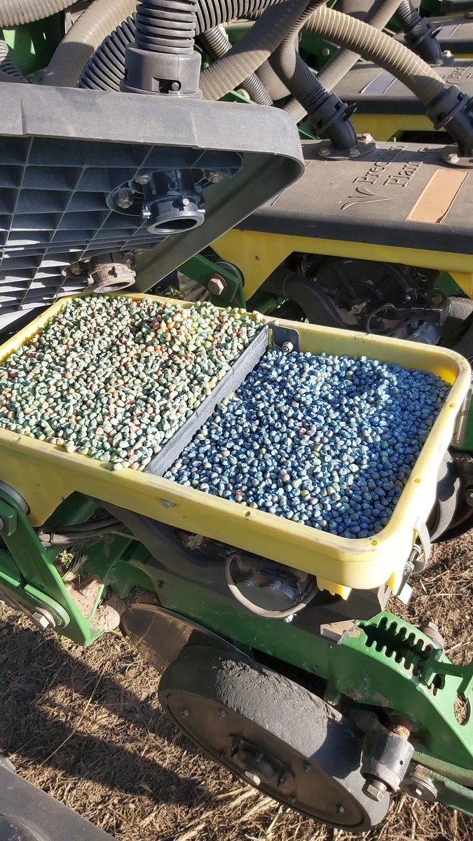 StegerEdgardo's tweet image. Sembrando maíz, multihíbrido, sobre cultivos de servicio.