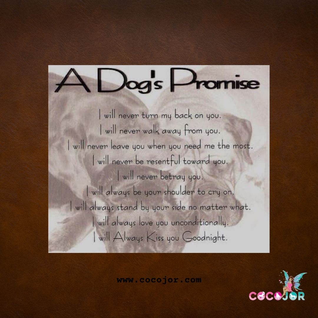 Cocojor's tweet image. Dogs do speak, but only to those who know how to listen. #quoteoftheday #quotes #cocojor #hawaii
👉cocojor.com