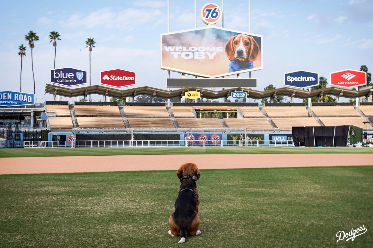 Welcome to Dodger Stadium, Toby!