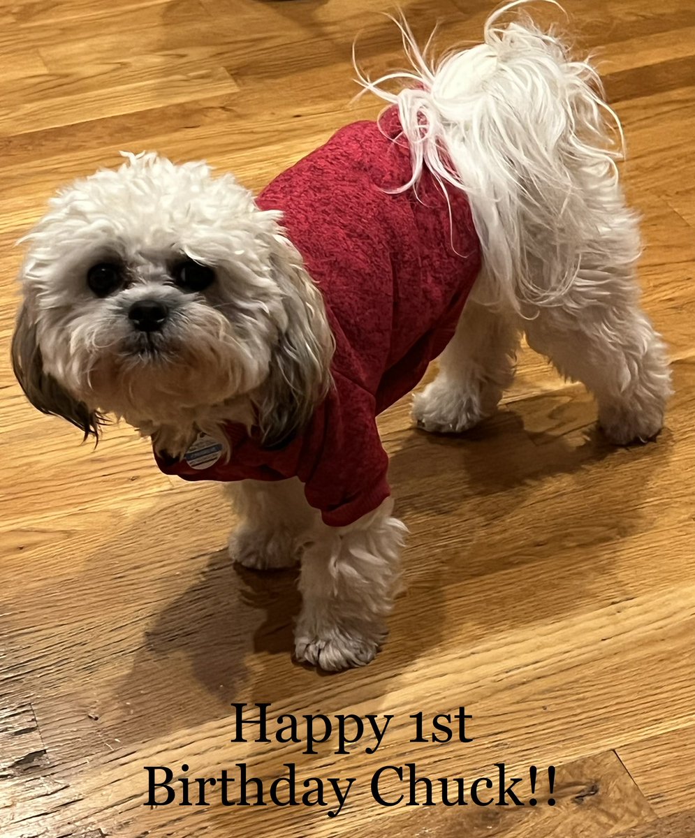 SchipperWendy's tweet photo. Happy Birthday to my little man! https://t.co/5x2xQhxZ0h