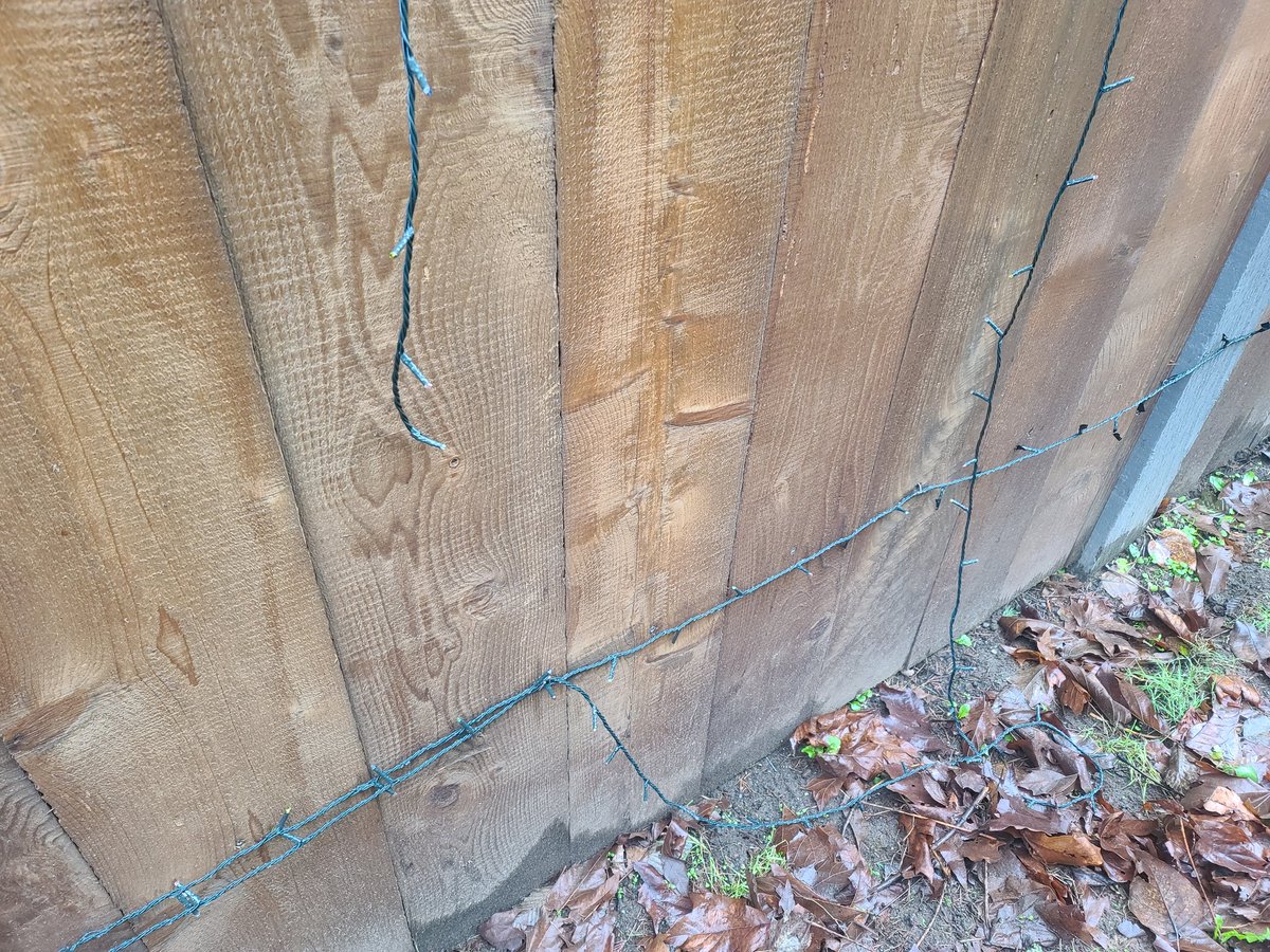 Americanwolf689's tweet photo. Last night my home was vandalized...what kinda sick SOB rips out/cuts Christmas lights!?! https://t.co/j8LGjyMGps