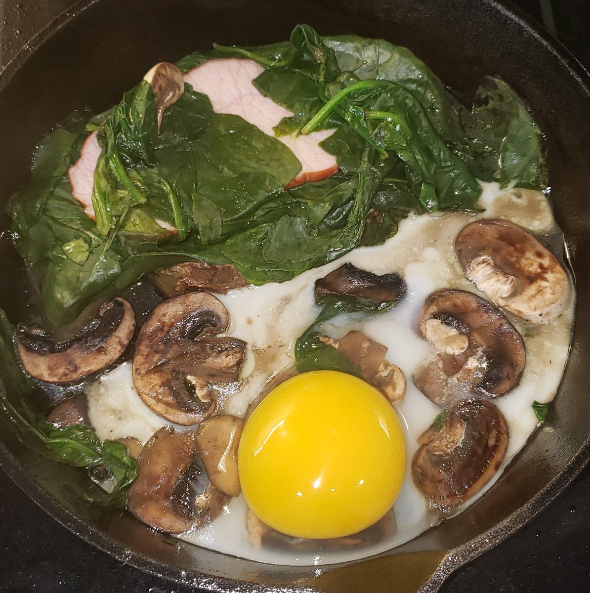 Breeder Steve tweet media