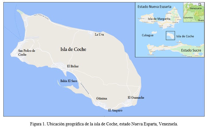 #2021 V33 Nuevos registros de aves para la isla de #Coche, Estado #NuevaEsparta, #Venezuela (abril 2015 - julio 2020)
👉doi.org/10.5281/zenodo…
Por: Silva, Sabino Rafael