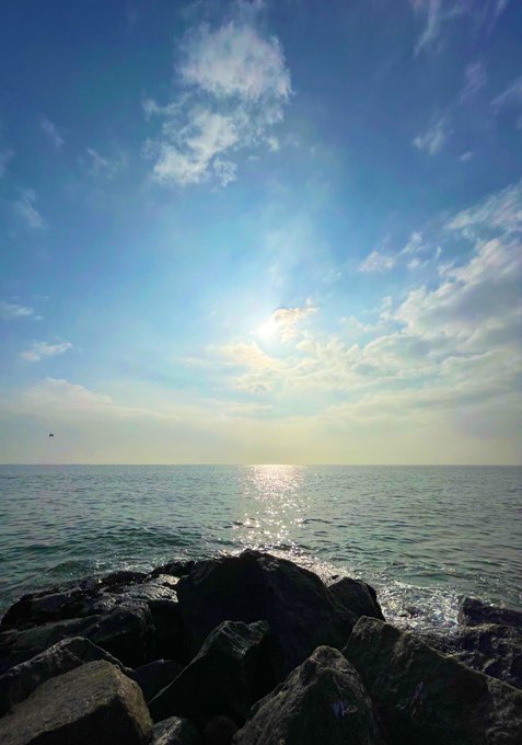 a year ago today i lost my best friend so i decided to spend the day at his favorite place 🌊☀️ https://t