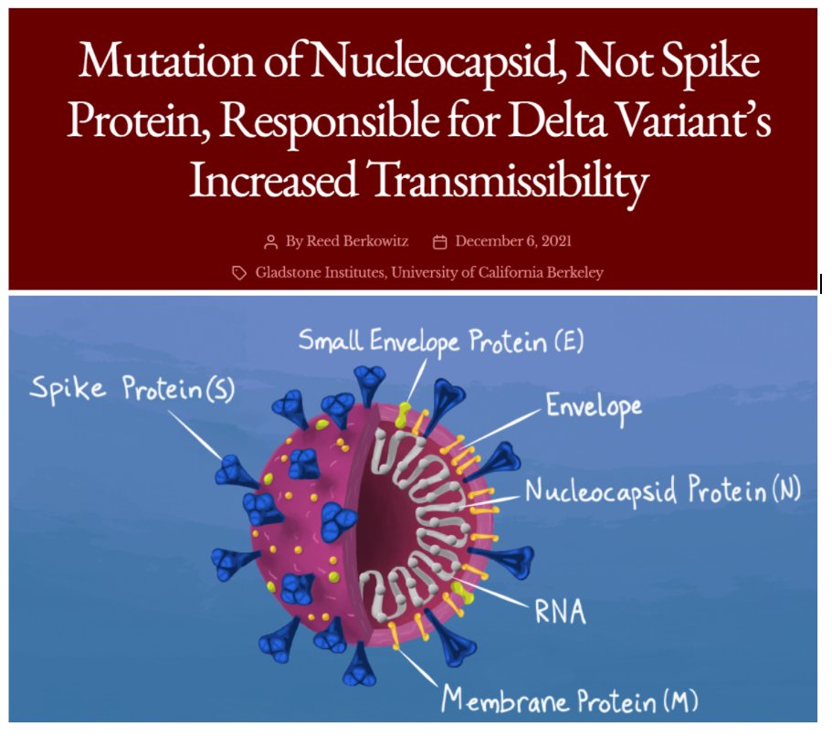 Doris Loh tweet media