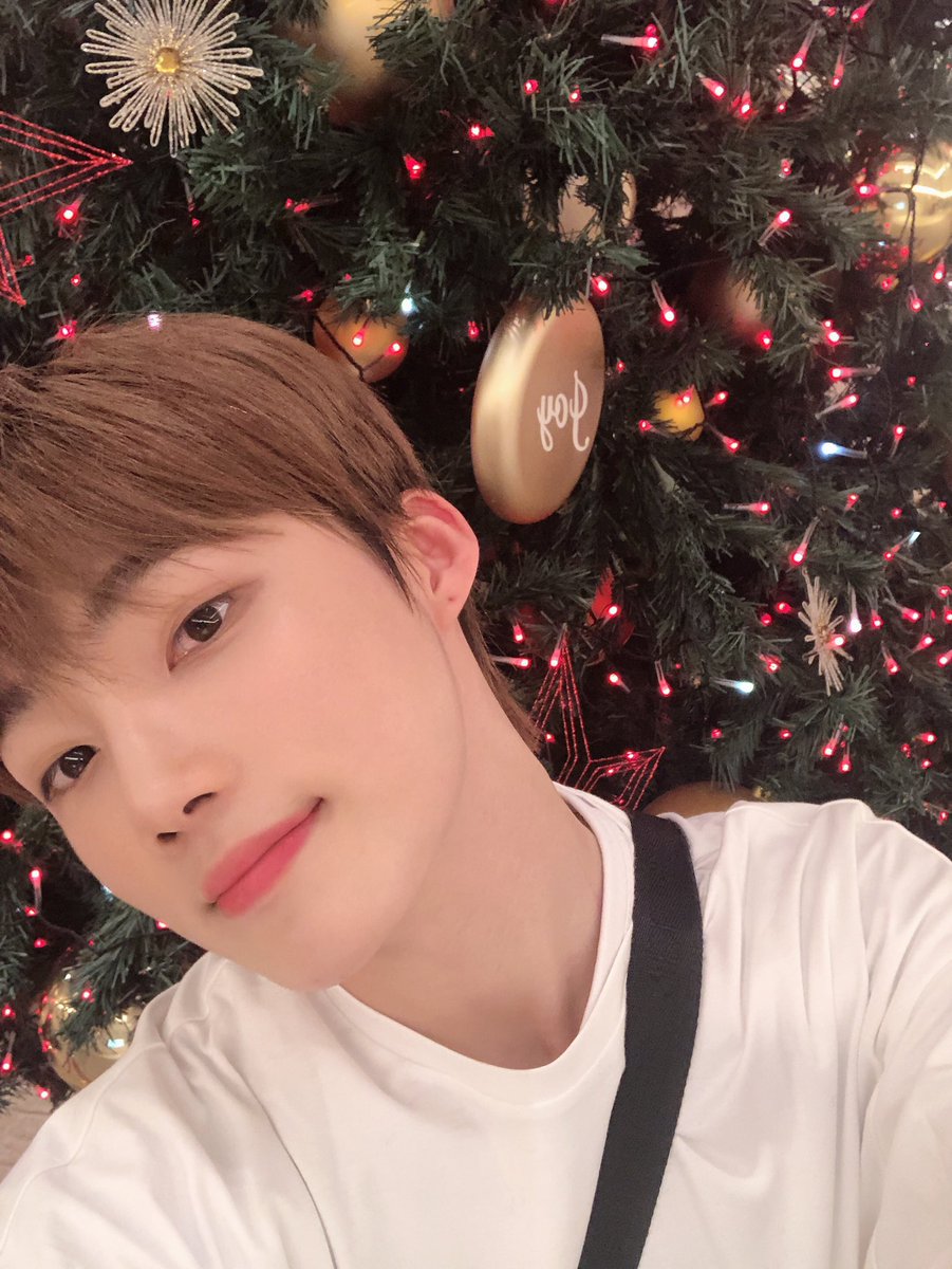tiny_kyunyu's tweet photo. https://t.co/hvGwsD95cY