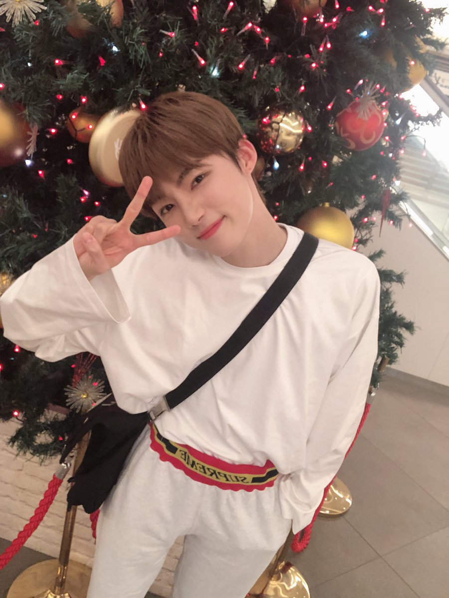 tiny_kyunyu's tweet photo. https://t.co/hvGwsD95cY