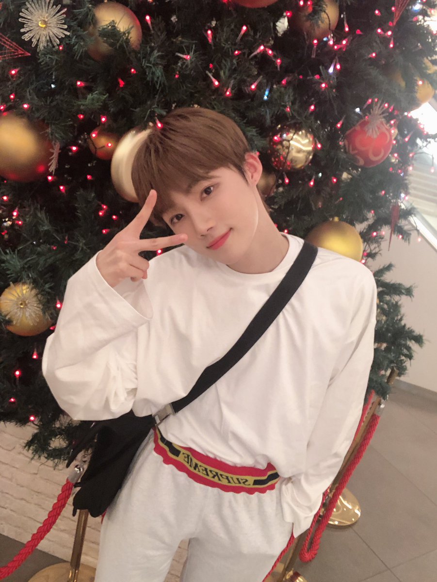tiny_kyunyu's tweet photo. https://t.co/hvGwsD95cY
